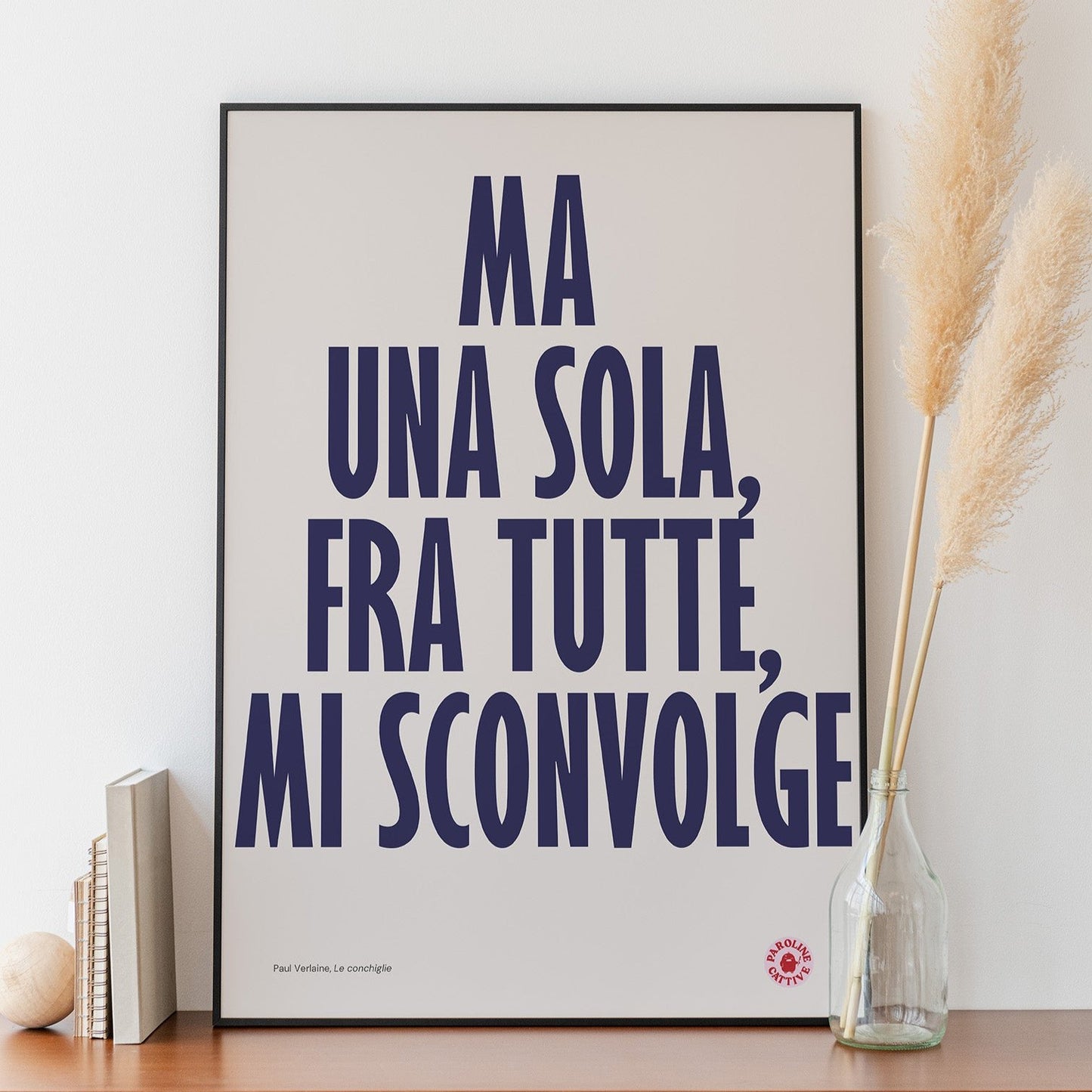 Le Conchiglie