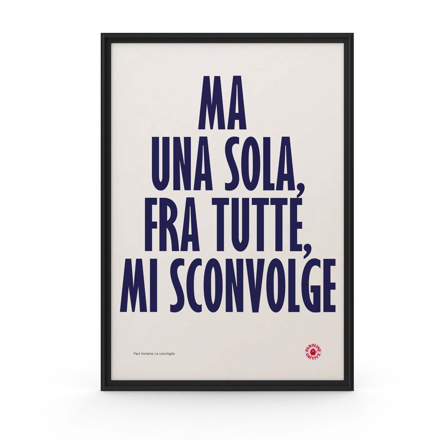 Le Conchiglie