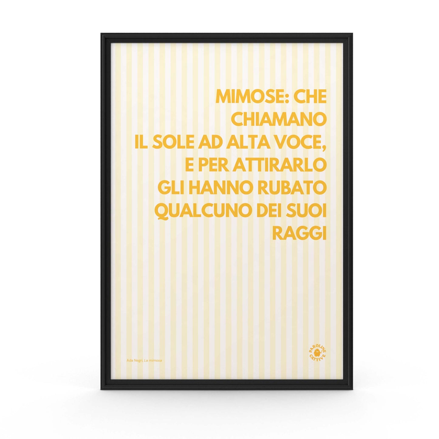 Mimosa