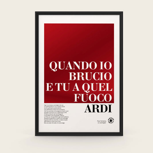 Bruci