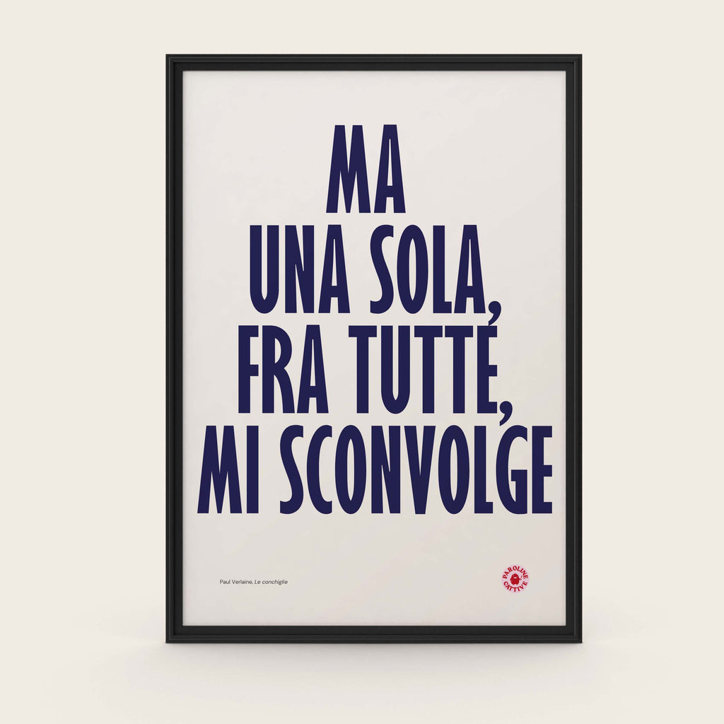 Le Conchiglie