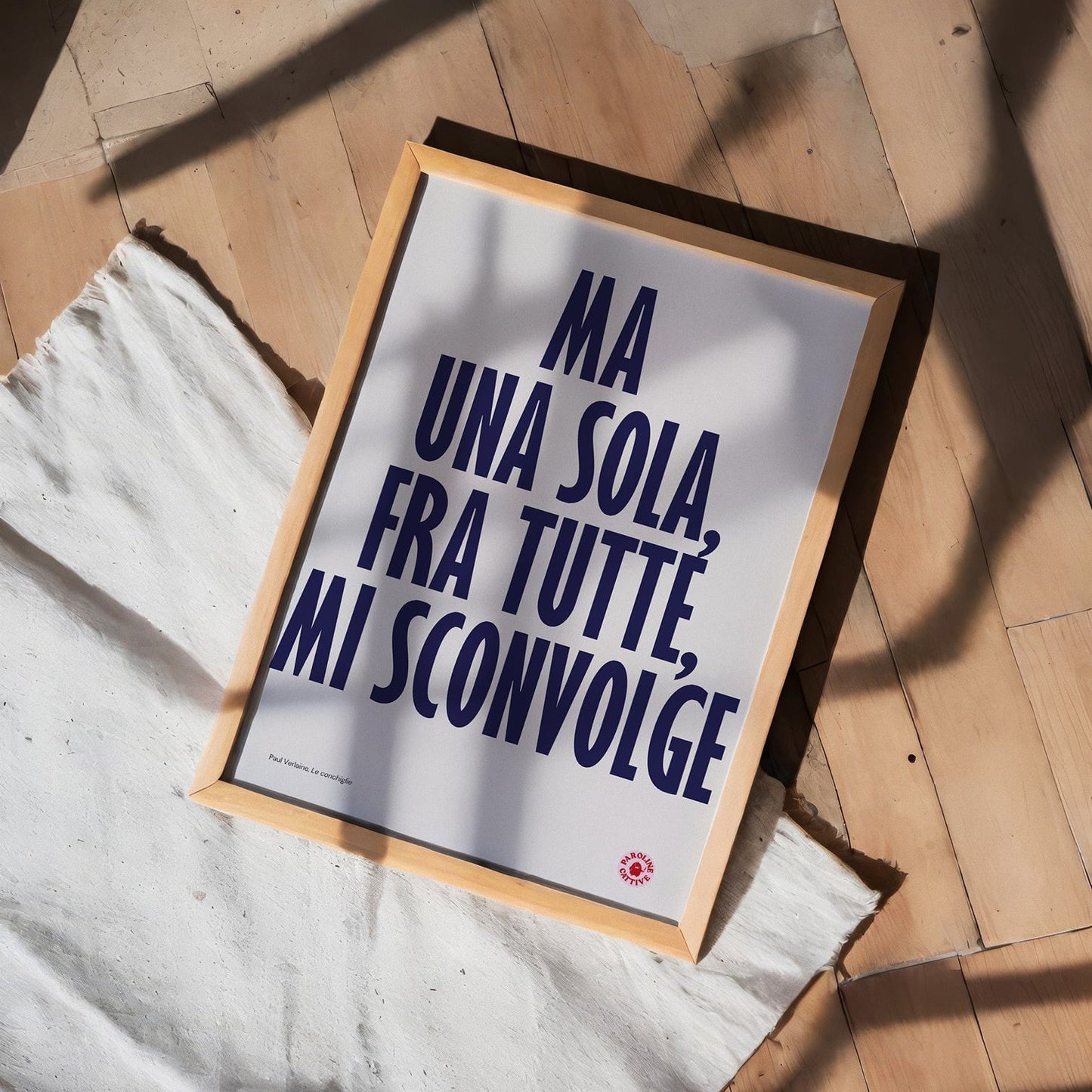 Le Conchiglie