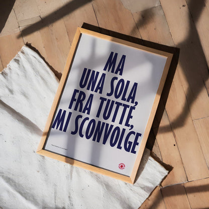Le Conchiglie