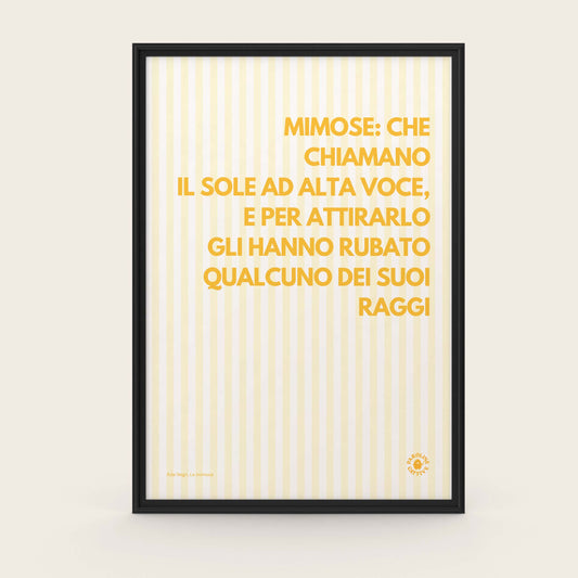 Mimosa